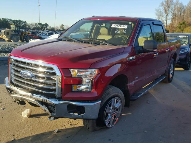 1FTEW1EG2GFB31082 - 2016 FORD F150 SUPER RED photo 2