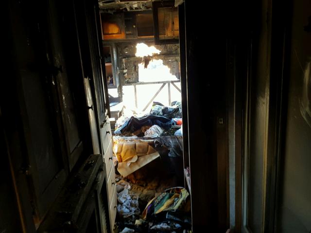 1RF120618S2011262 - 1995 ROADMASTER RAIL DYANASTER SILVER photo 10