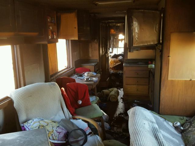 1RF120618S2011262 - 1995 ROADMASTER RAIL DYANASTER SILVER photo 6