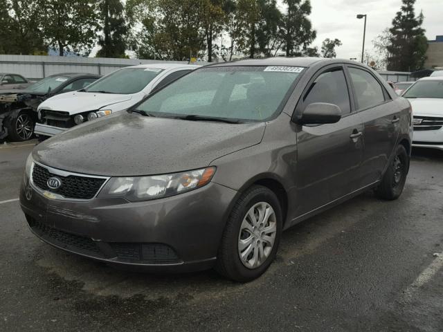 KNAFU4A28B5418332 - 2011 KIA FORTE EX BROWN photo 2