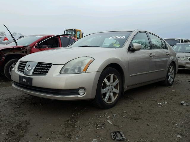 1N4BA41EX5C869840 - 2005 NISSAN MAXIMA SE GOLD photo 2