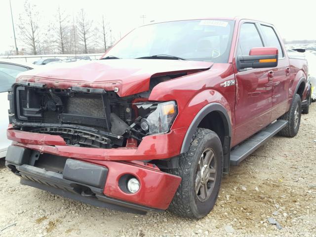 1FTFW1EF9DKE65950 - 2013 FORD F150 SUPER RED photo 2