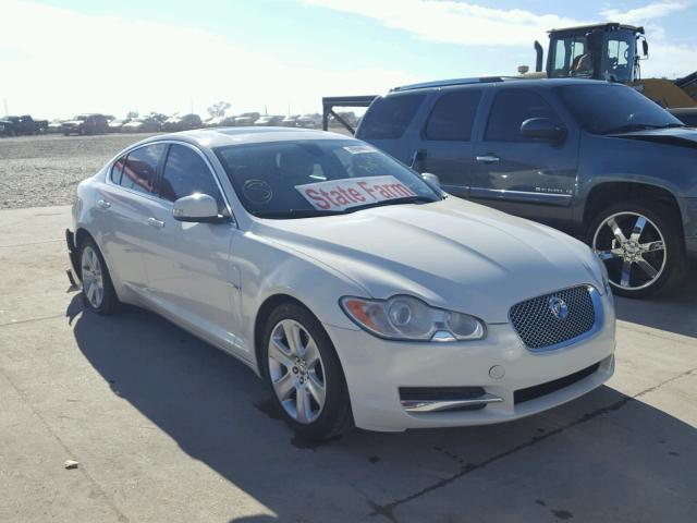 SAJWA05B49HR04466 - 2009 JAGUAR XF LUXURY WHITE photo 1