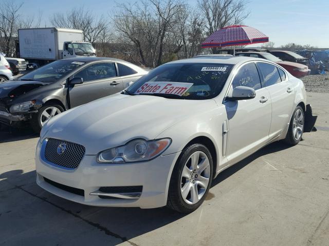 SAJWA05B49HR04466 - 2009 JAGUAR XF LUXURY WHITE photo 2