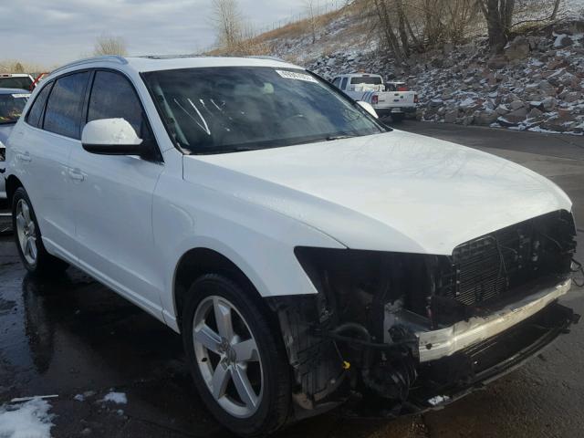 WA1KK78R69A024464 - 2009 AUDI Q5 3.2 WHITE photo 1