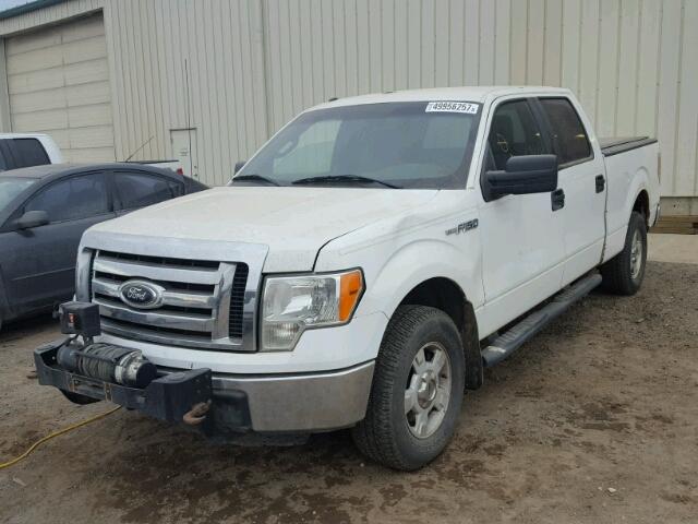 1FTFW1EF4CFB29551 - 2012 FORD F150 SUPER WHITE photo 2