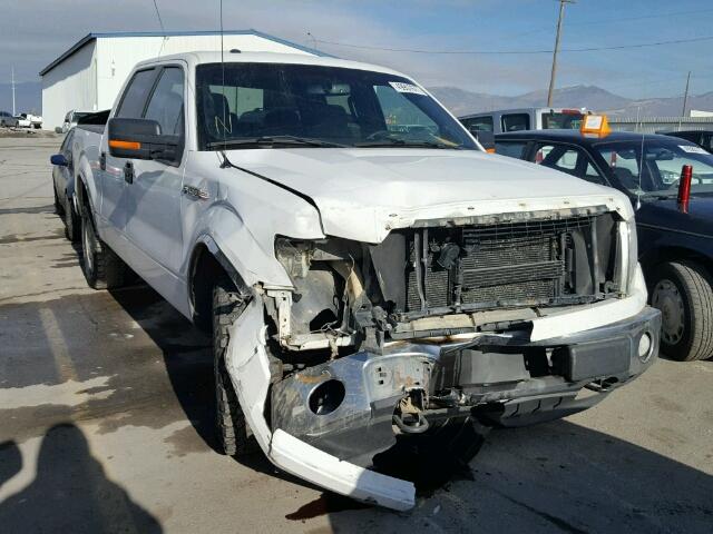 1FTFW1EF1DFC59997 - 2013 FORD F150 SUPER WHITE photo 1