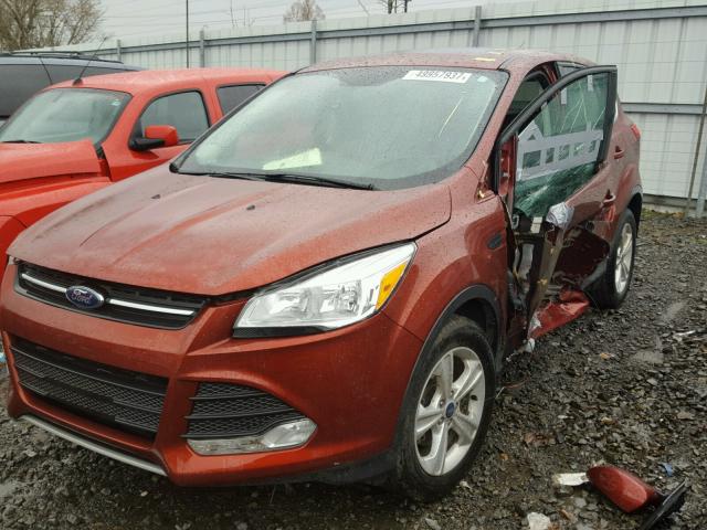 1FMCU0G74FUC37110 - 2015 FORD ESCAPE SE RED photo 2