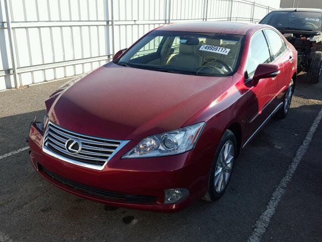 JTHBK1EG0B2437761 - 2011 LEXUS ES 350 RED photo 2