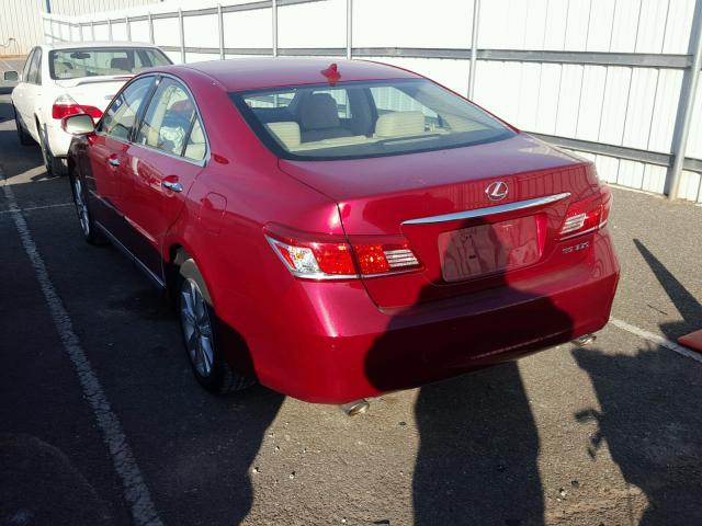 JTHBK1EG0B2437761 - 2011 LEXUS ES 350 RED photo 3