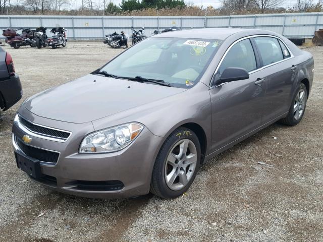 1G1ZA5EU1CF229990 - 2012 CHEVROLET MALIBU LS Boz foto 2