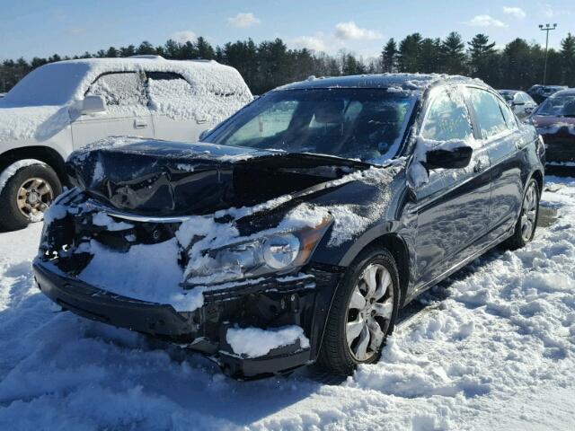 1HGCP26828A145565 - 2008 HONDA ACCORD EXL BLACK photo 2