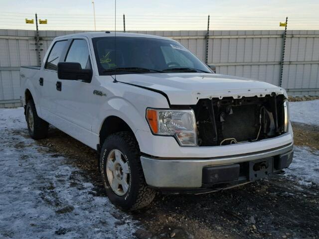 1FTEW1E82AFD81485 - 2010 FORD F150 SUPER WHITE photo 1
