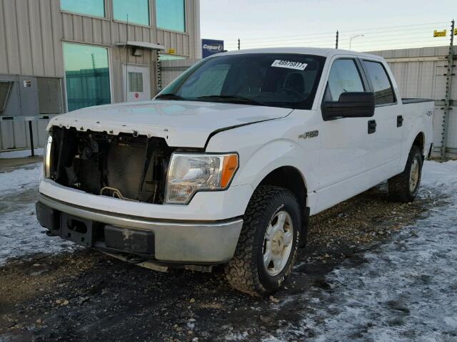 1FTEW1E82AFD81485 - 2010 FORD F150 SUPER WHITE photo 2