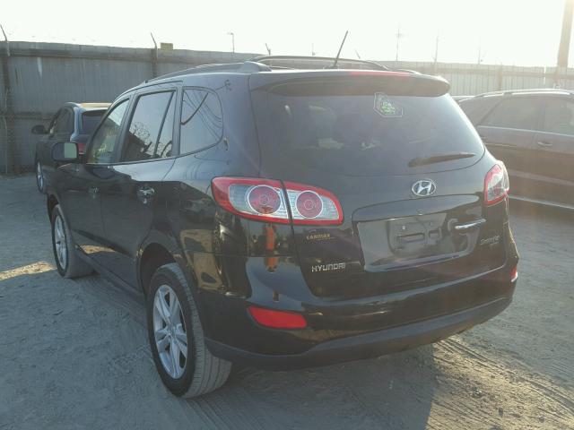 5NMSK4AG7AH341628 - 2010 HYUNDAI SANTA FE L BLACK photo 3