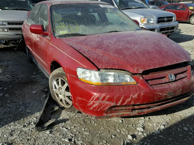 1HGCG56702A134810 - 2002 HONDA ACCORD SE RED photo 1