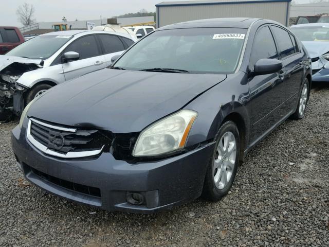 1N4BA41E48C820279 - 2008 NISSAN MAXIMA SE GRAY photo 2