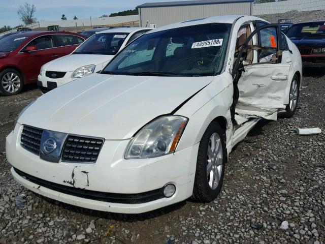 1N4BA41E76C843648 - 2006 NISSAN MAXIMA SE WHITE photo 2