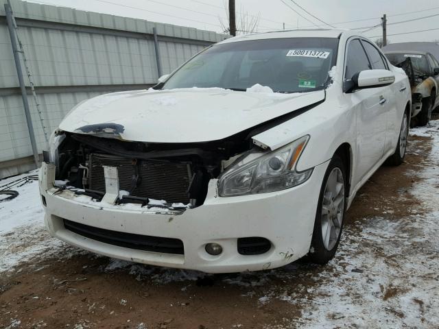 1N4AA5AP2AC842628 - 2010 NISSAN MAXIMA S WHITE photo 2