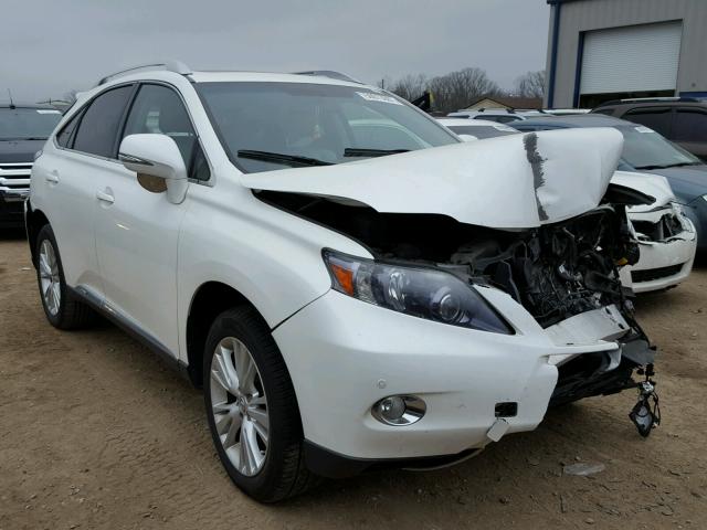 JTJBC1BA5A2018461 - 2010 LEXUS RX 450 WHITE photo 1