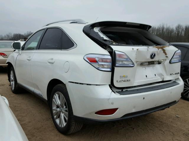 JTJBC1BA5A2018461 - 2010 LEXUS RX 450 WHITE photo 3