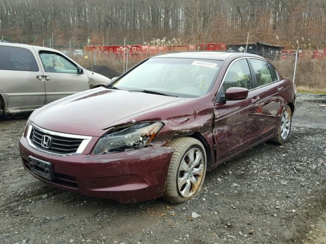 1HGCP2F71AA191286 - 2010 HONDA ACCORD EX BURGUNDY photo 2