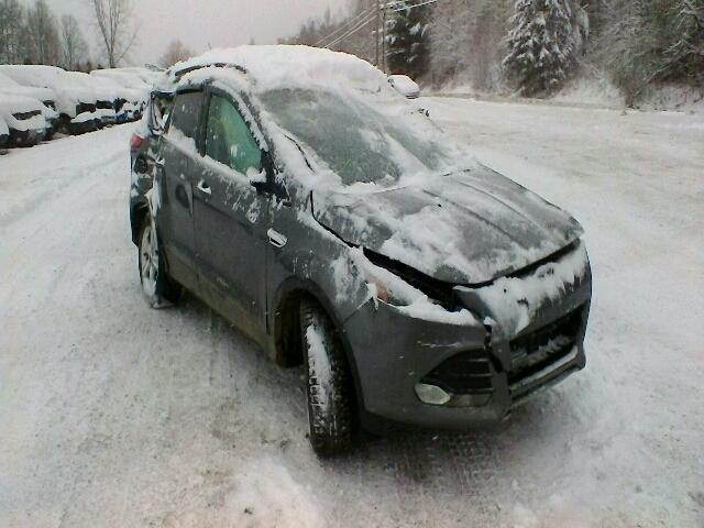 1FMCU9GX7EUD58913 - 2014 FORD ESCAPE SE GRAY photo 1