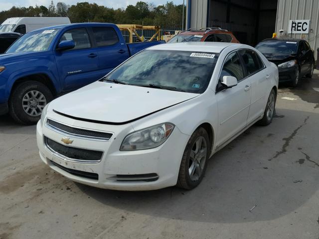 1G1ZH57B09F239961 - 2009 CHEVROLET MALIBU 1LT WHITE photo 2