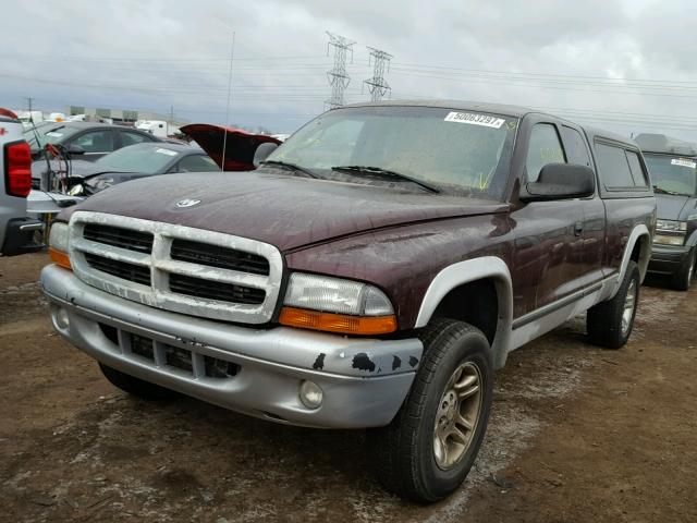 1D7HG42N04S558459 - 2004 DODGE DAKOTA SLT MAROON photo 2