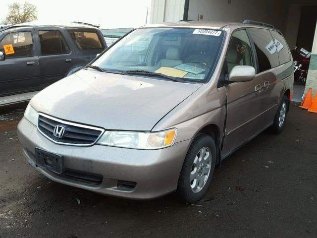 5FNRL180X3B093088 - 2003 HONDA ODYSSEY EX BEIGE photo 2