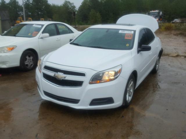 1G11B5SA3DF238387 - 2013 CHEVROLET MALIBU LS 白色 照片 2
