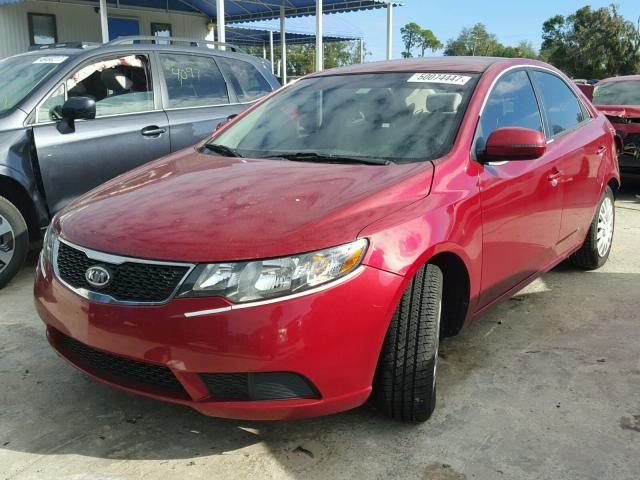 KNAFU4A24C5550005 - 2012 KIA FORTE EX RED photo 2