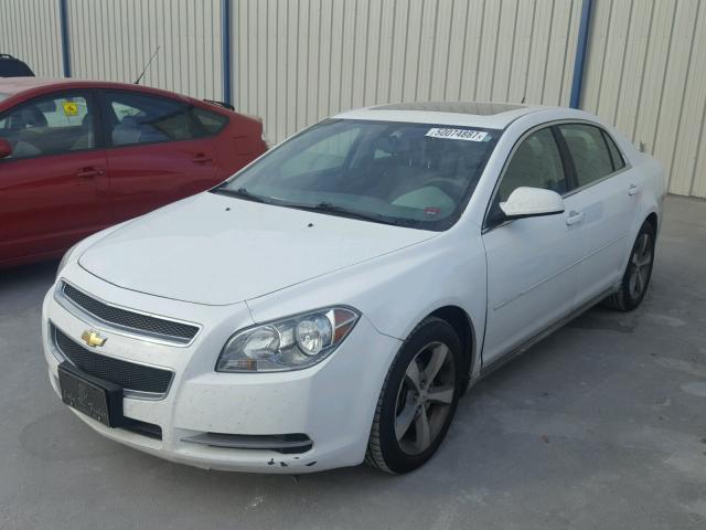 1G1ZC5E15BF303541 - 2011 CHEVROLET MALIBU 1LT 白色 照片 2