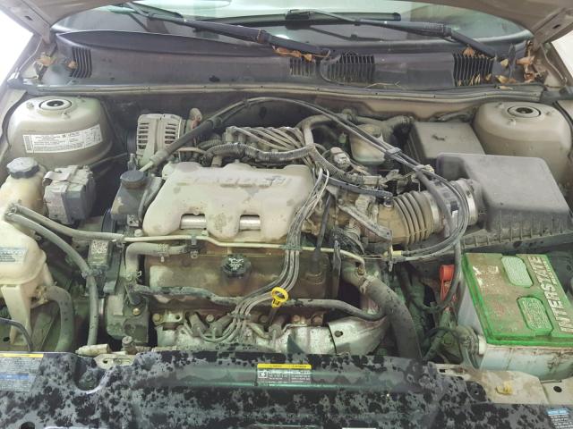 1G2NE52E75M217854 - 2005 PONTIAC GRAND AM S GOLD photo 7