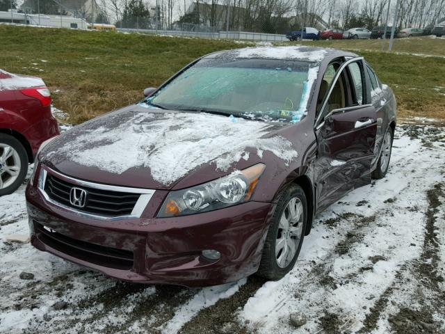 5KBCP3F80AB005288 - 2010 HONDA ACCORD EXL MAROON photo 2
