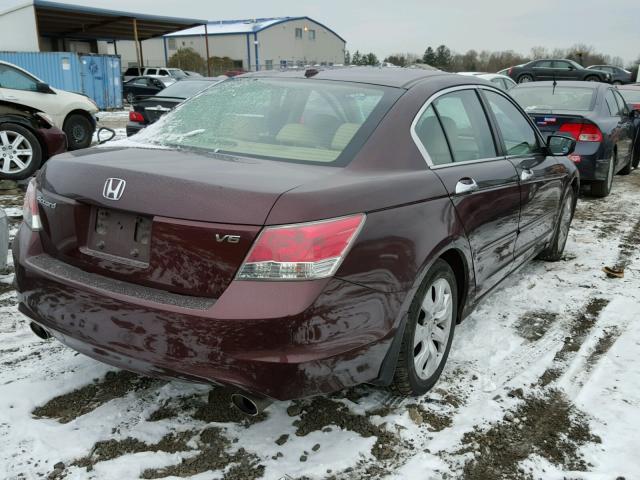 5KBCP3F80AB005288 - 2010 HONDA ACCORD EXL MAROON photo 4