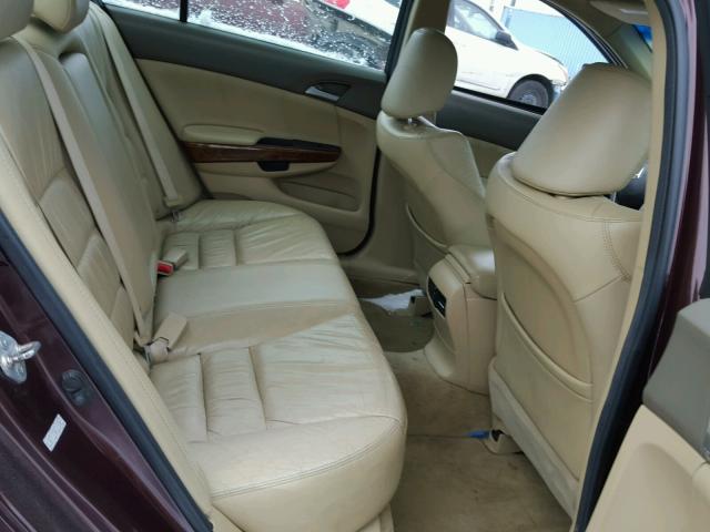5KBCP3F80AB005288 - 2010 HONDA ACCORD EXL MAROON photo 6