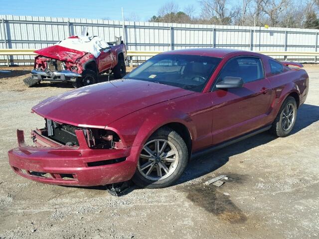 1ZVFT80N155152873 - 2005 FORD MUSTANG RED photo 2