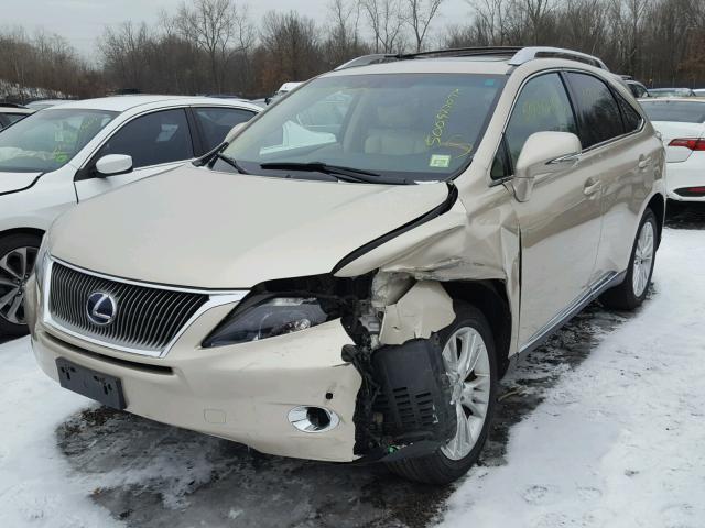 JTJBC1BA0C2428748 - 2012 LEXUS RX 450 GOLD photo 2