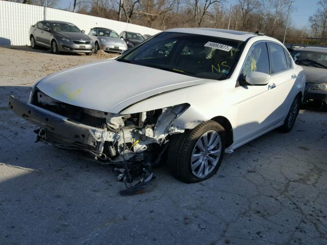 1HGCP3F8XCA024491 - 2012 HONDA ACCORD EXL WHITE photo 2