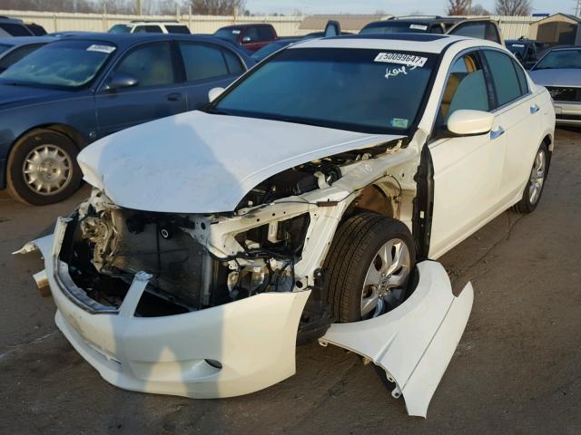 5KBCP36899B002918 - 2009 HONDA ACCORD EXL WHITE photo 2