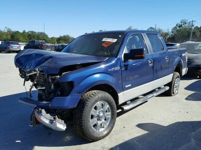 1FTFW1ET4CFC07851 - 2012 FORD F150 SUPER BLUE photo 2