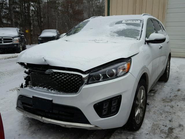 5XYPK4A5XGG023283 - 2016 KIA SORENTO SX WHITE photo 2