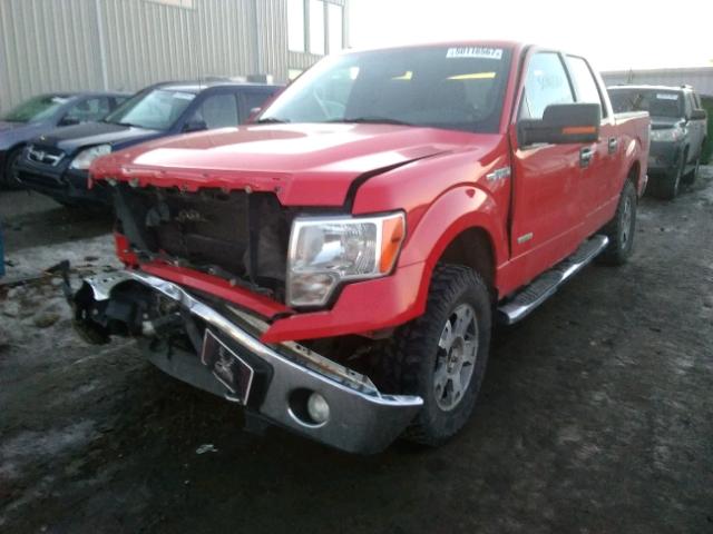 1FTFW1ET5CKE26003 - 2012 FORD F150 SUPER RED photo 2