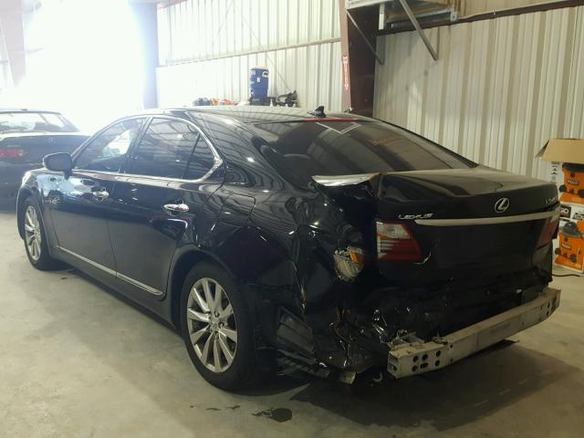 JTHCL5EF0A5008343 - 2010 LEXUS LS 460 BLACK photo 3