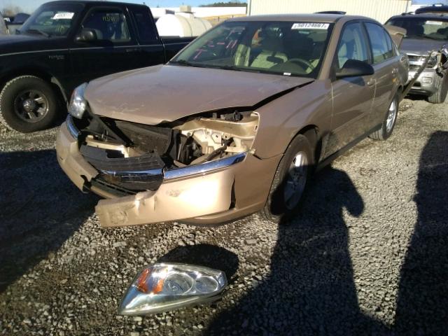 1G1ZT52815F314624 - 2005 CHEVROLET MALIBU LS 米色 照片 2