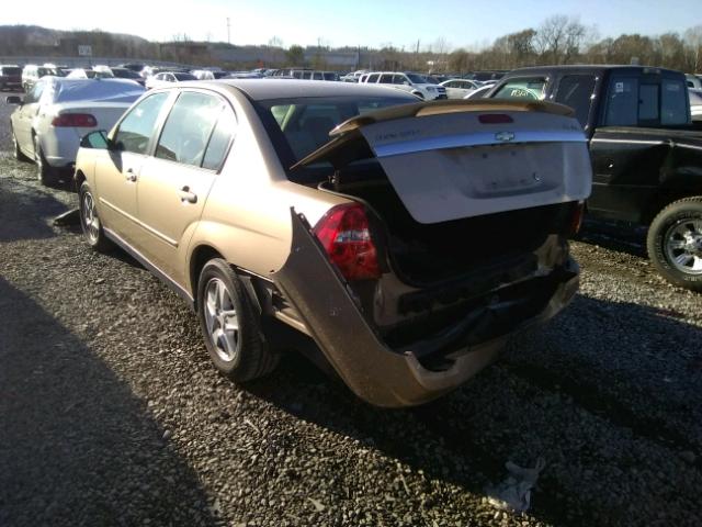 1G1ZT52815F314624 - 2005 CHEVROLET MALIBU LS 米色 照片 3