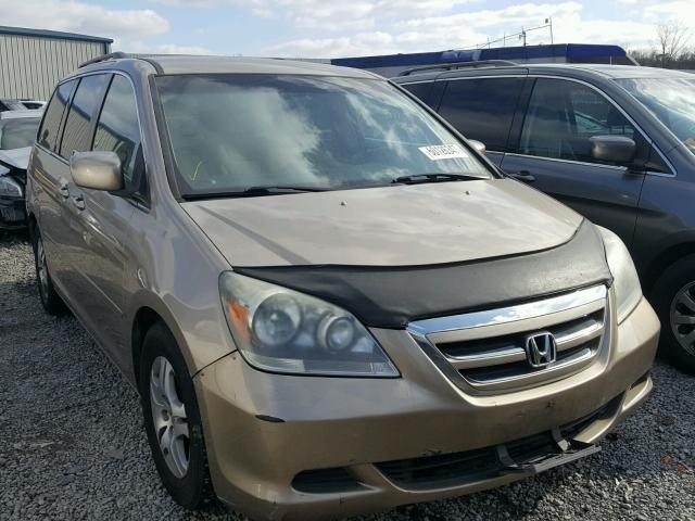 5FNRL38435B407956 - 2005 HONDA ODYSSEY EX TAN photo 1