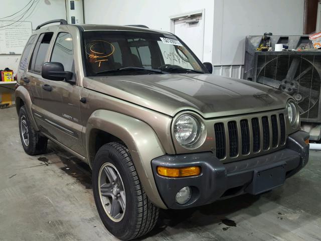 1J4GK48K34W299311 - 2004 JEEP LIBERTY GOLD photo 1