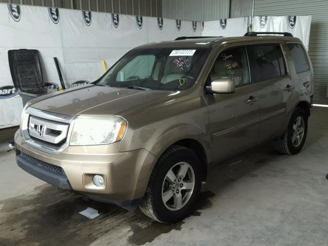 5FNYF38569B021873 - 2009 HONDA PILOT EXL BEIGE photo 2